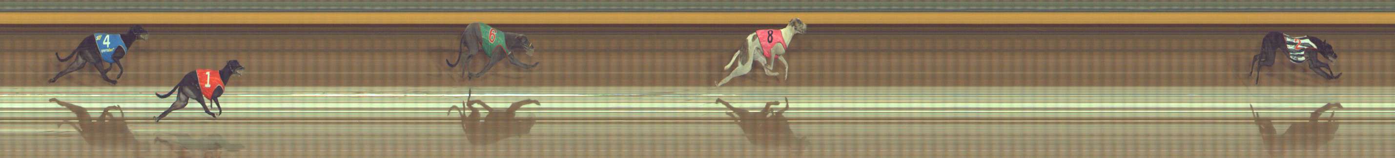 Photo finish for Bendigo Race 11