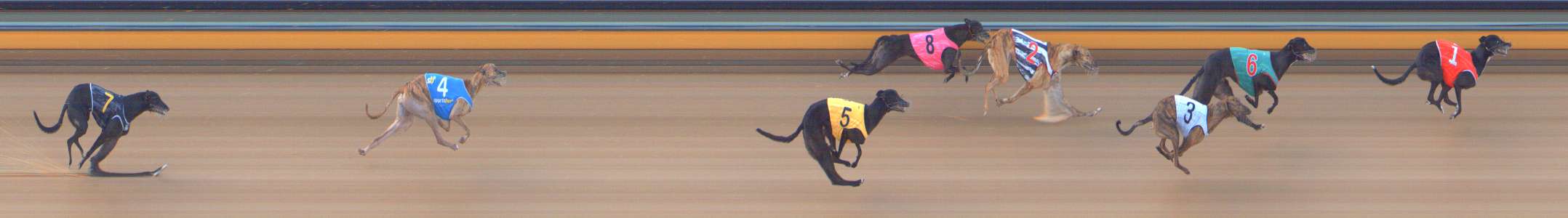 Photo finish for Bendigo Race 3