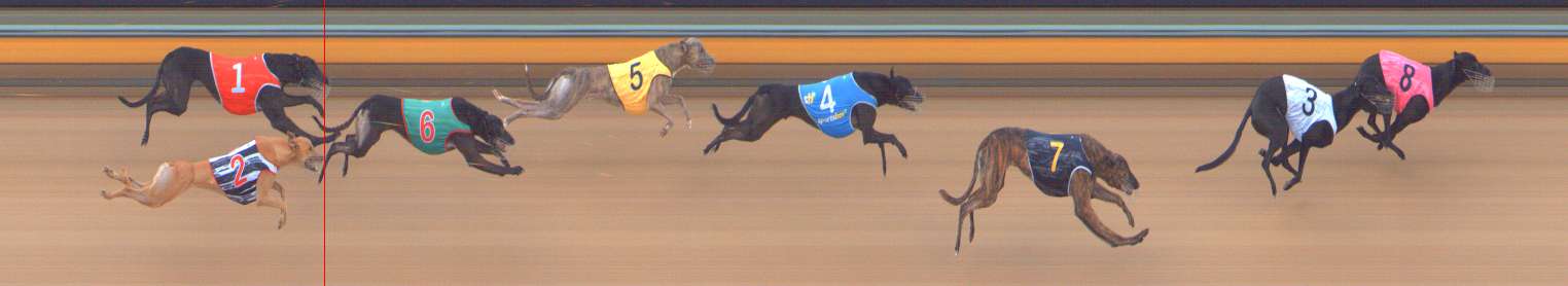 Photo finish for Bendigo Race 4