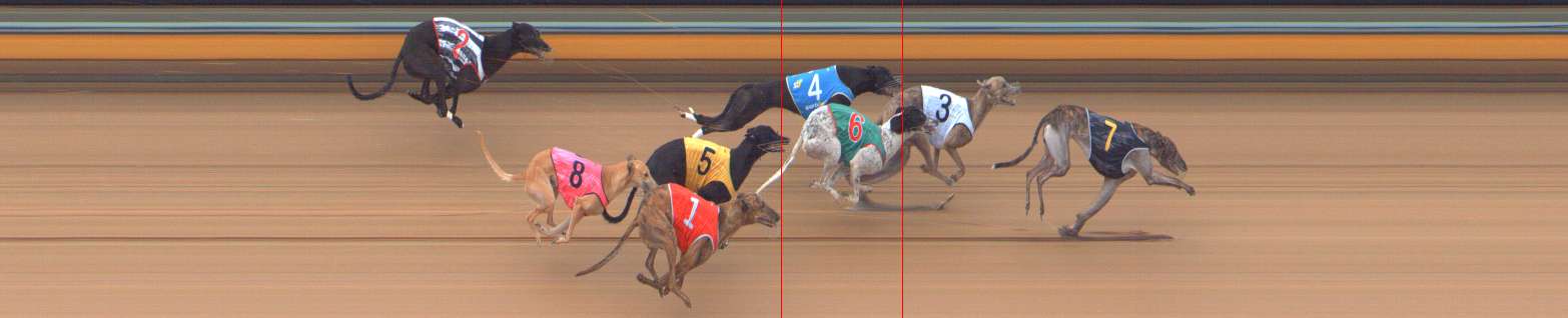 Photo finish for Bendigo Race 6