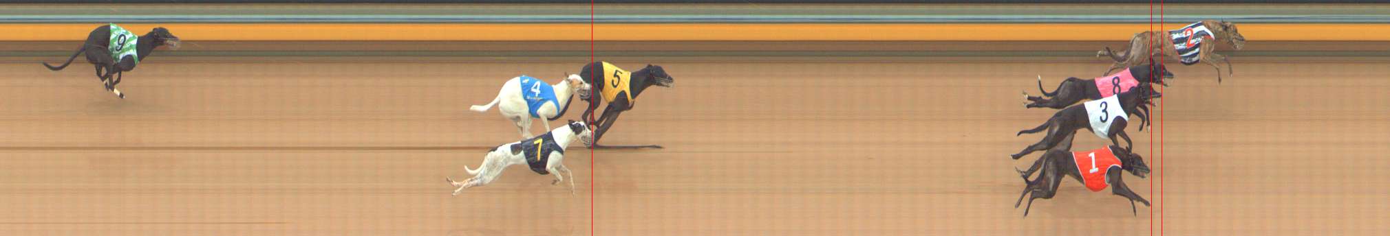 Photo finish for Bendigo Race 8