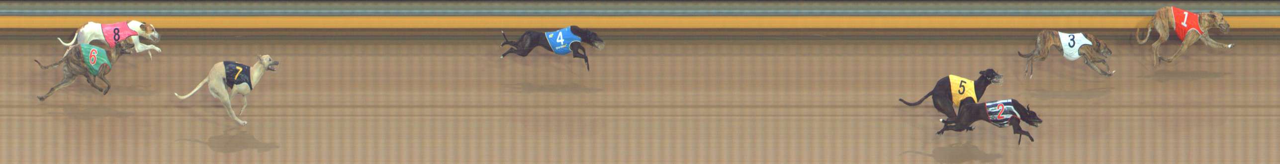 Photo finish for Bendigo Race 9