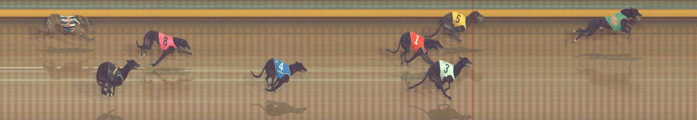 Photo finish for Bendigo Race 11
