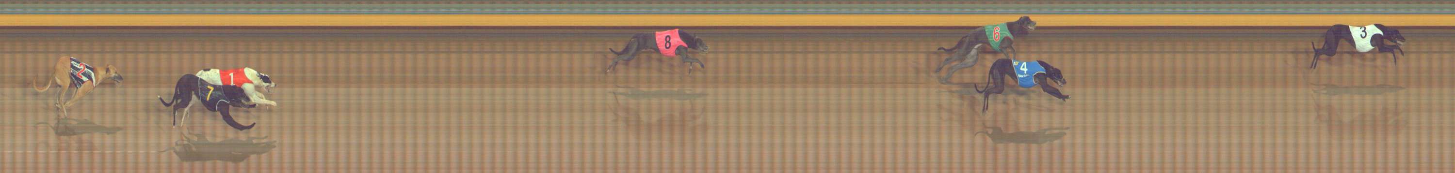 Photo finish for Bendigo Race 2