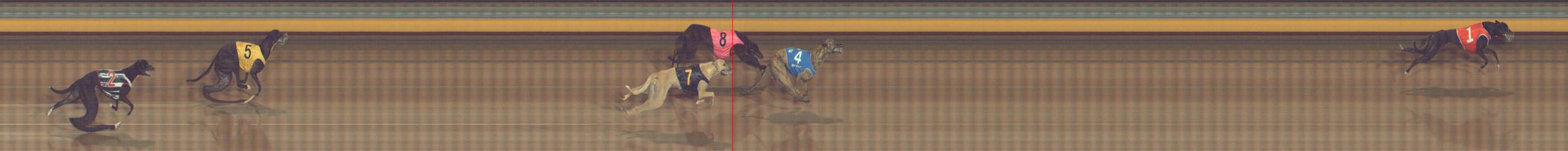 Photo finish for Bendigo Race 3