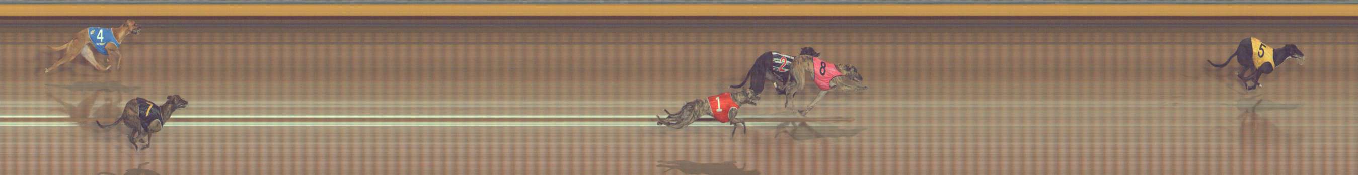Photo finish for Bendigo Race 4