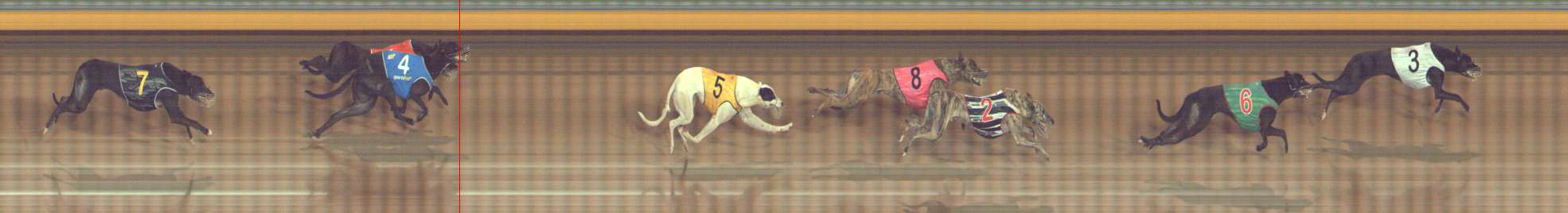 Photo finish for Bendigo Race 5