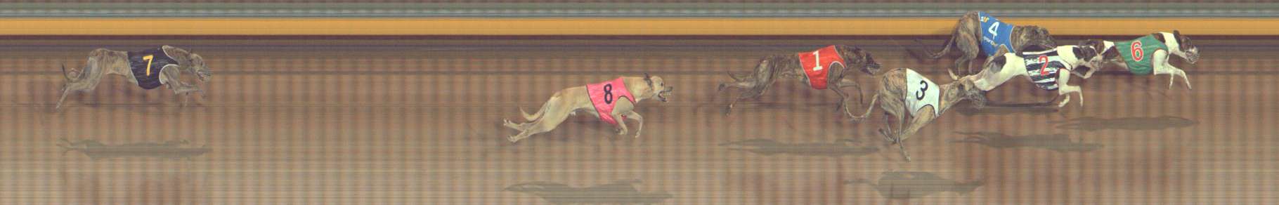 Photo finish for Bendigo Race 6