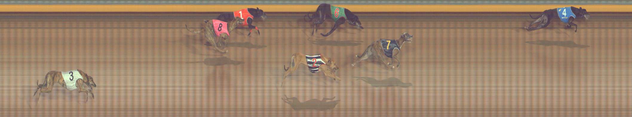 Photo finish for Bendigo Race 7