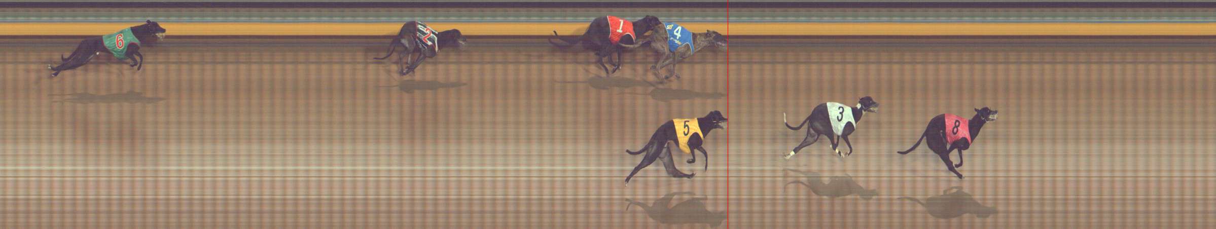 Photo finish for Bendigo Race 8