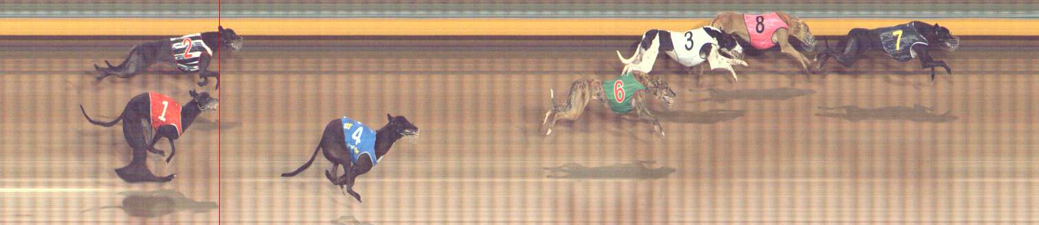 Photo finish for Bendigo Race 9