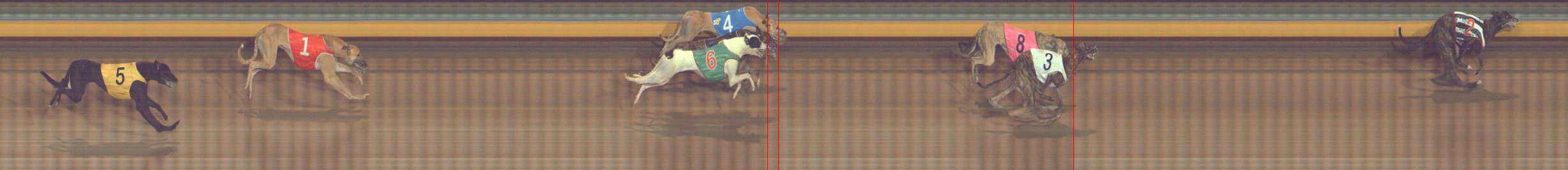 Photo finish for Bendigo Race 10