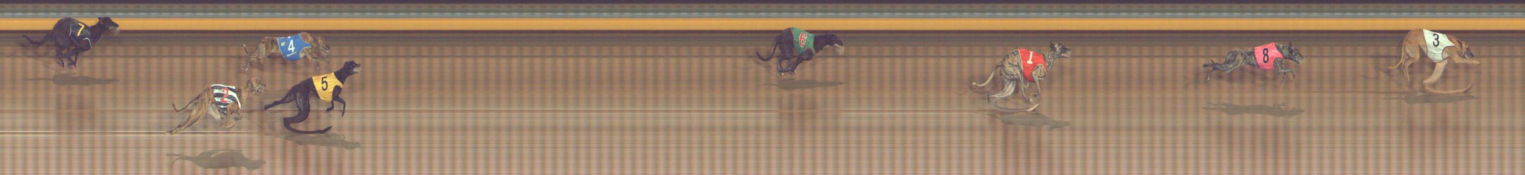 Photo finish for Bendigo Race 11
