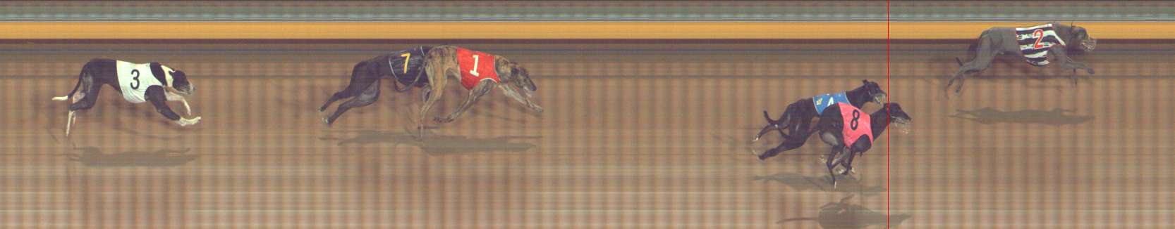 Photo finish for Bendigo Race 12