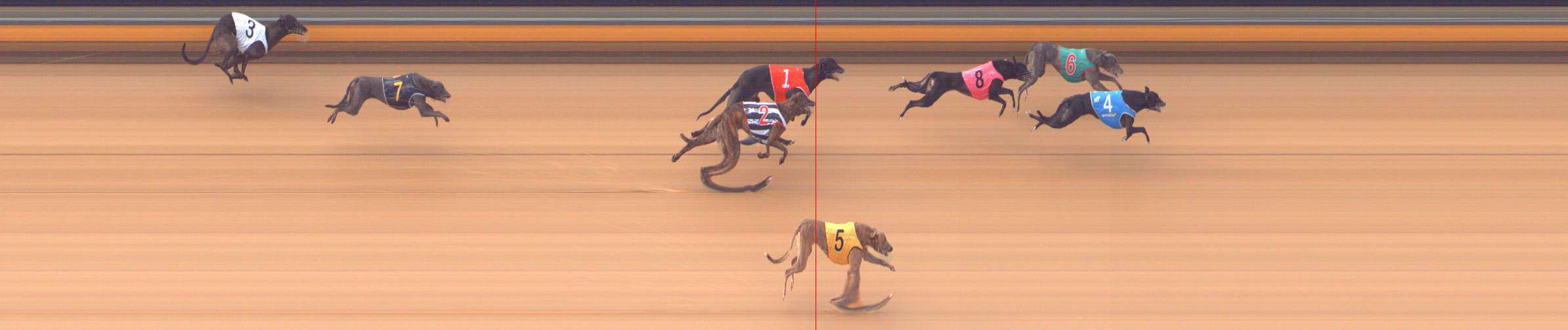 Photo finish for Bendigo Race 3