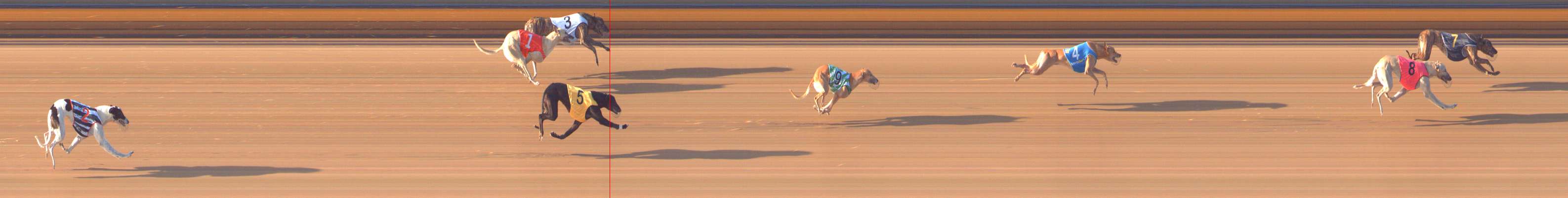 Photo finish for Bendigo Race 5