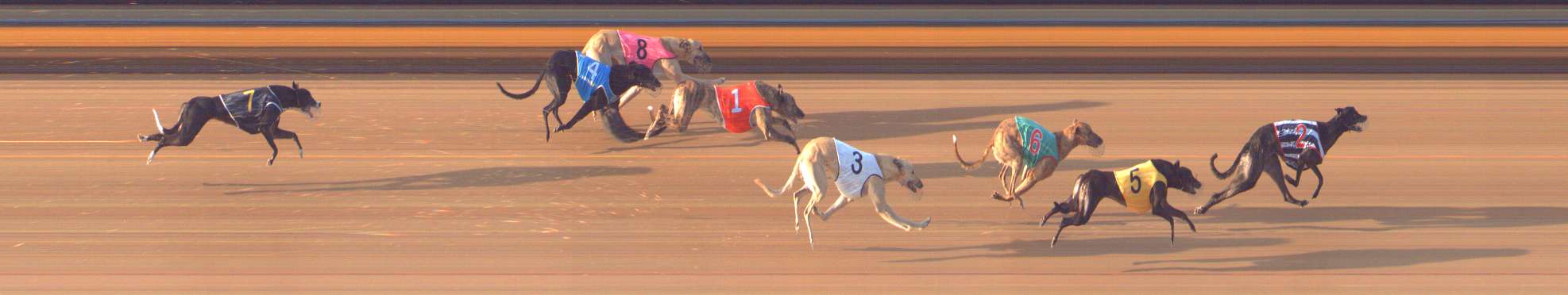 Photo finish for Bendigo Race 6