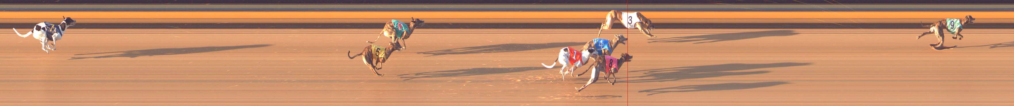 Photo finish for Bendigo Race 7