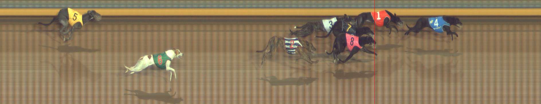 Photo finish for Bendigo Race 11