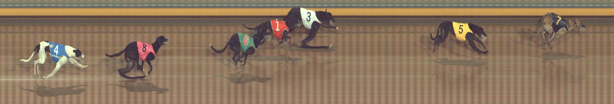 Photo finish for Bendigo Race 12