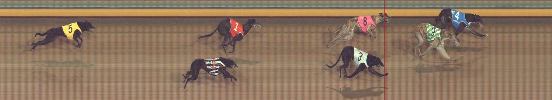 Photo finish for Bendigo Race 13