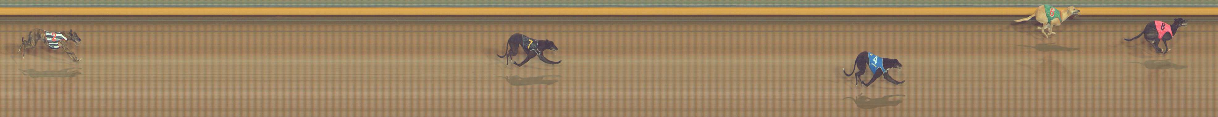 Photo finish for Bendigo Race 1