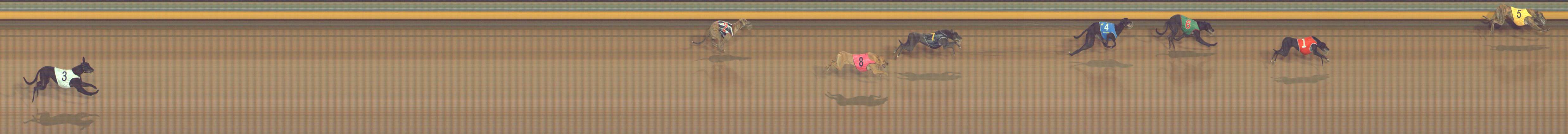 Photo finish for Bendigo Race 2