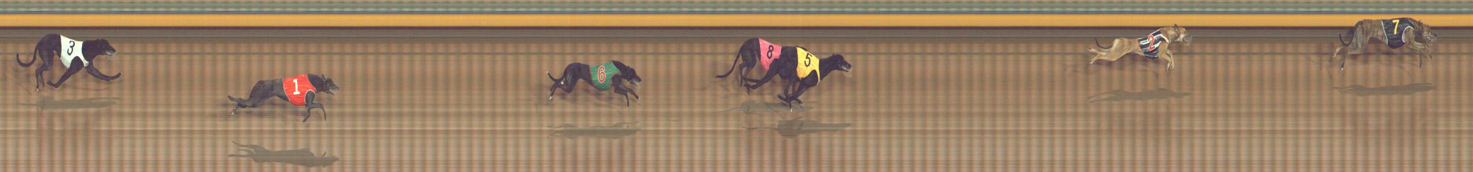 Photo finish for Bendigo Race 3