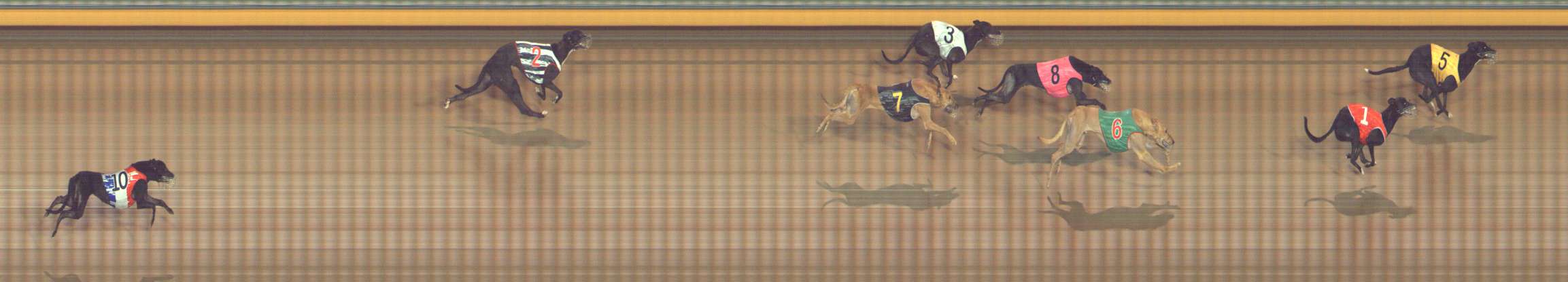 Photo finish for Bendigo Race 4