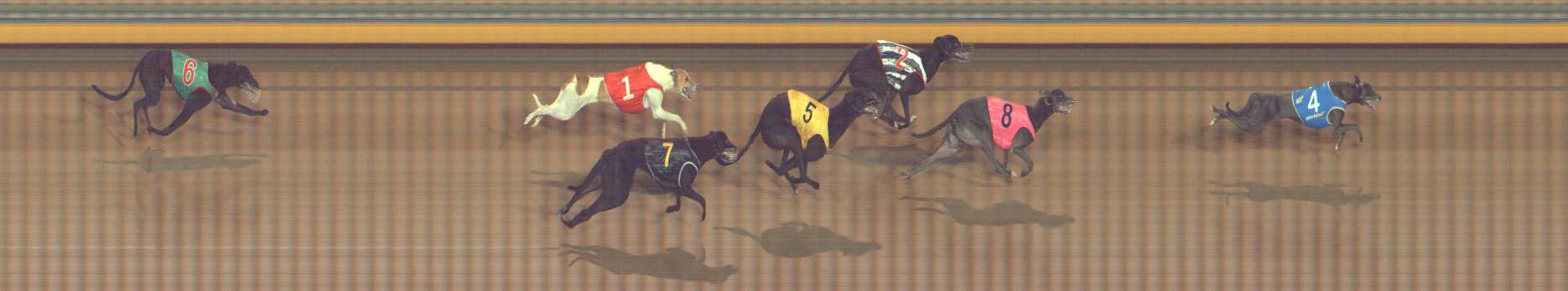 Photo finish for Bendigo Race 6