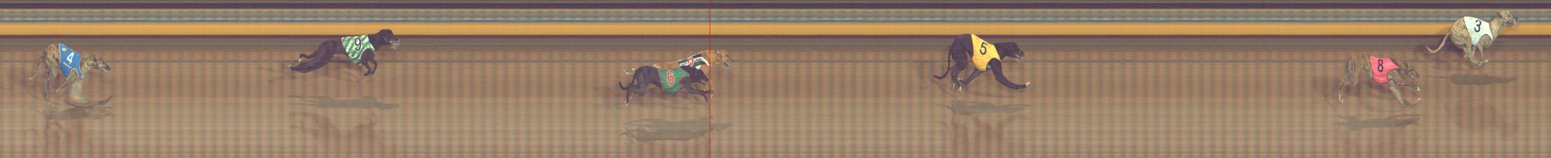 Photo finish for Bendigo Race 9