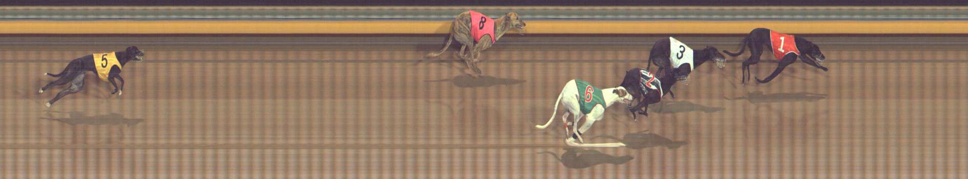 Photo finish for Bendigo Race 10