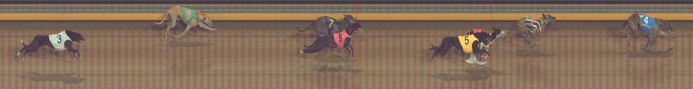 Photo finish for Bendigo Race 12