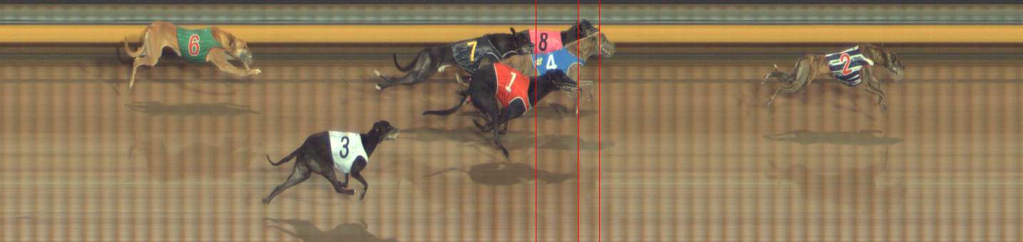 Photo finish for Bendigo Race 3