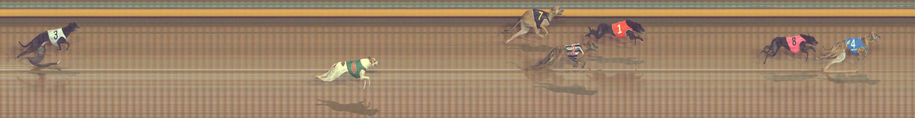 Photo finish for Bendigo Race 4