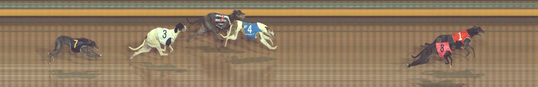 Photo finish for Bendigo Race 5