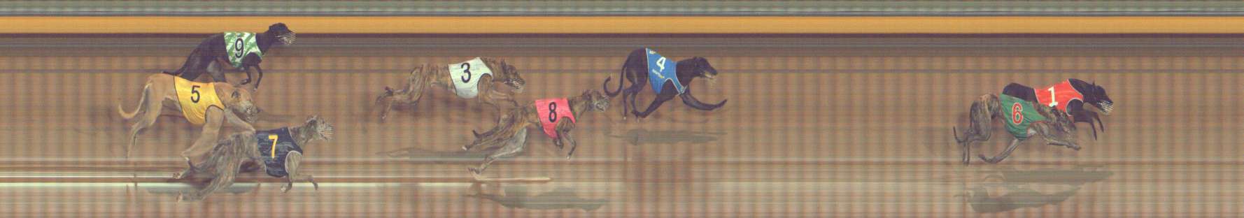 Photo finish for Bendigo Race 6