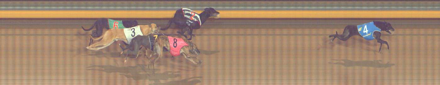 Photo finish for Bendigo Race 10