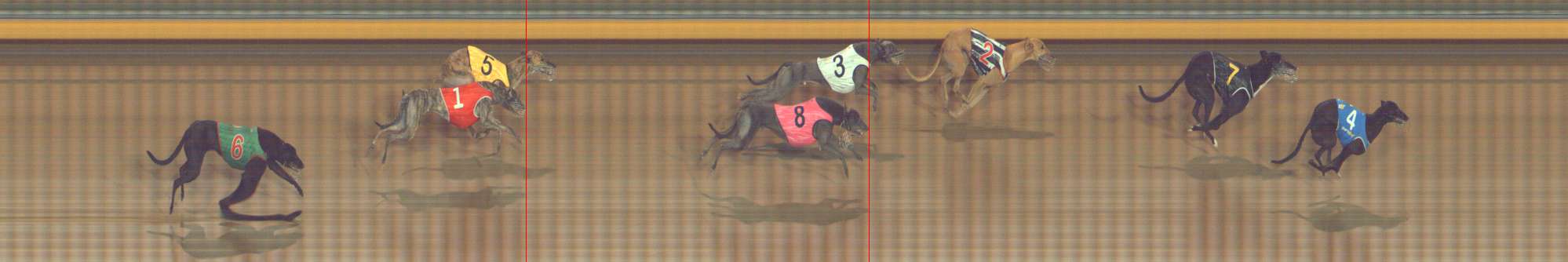 Photo finish for Bendigo Race 12