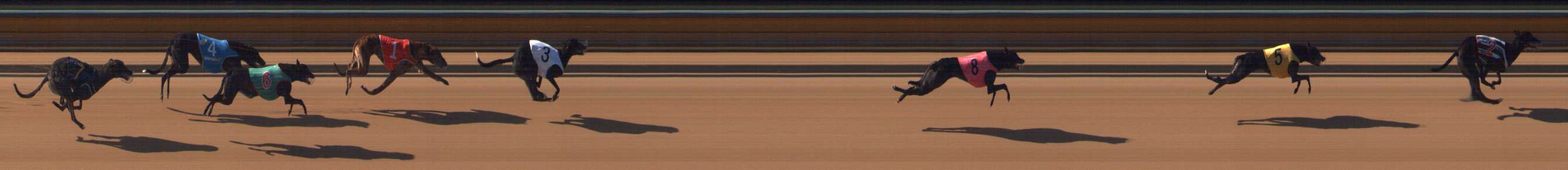 Race result finish photo
