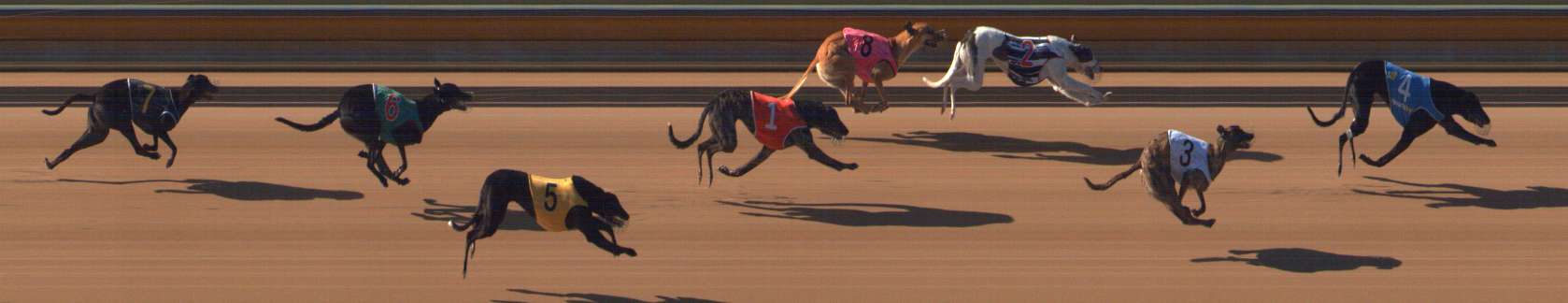 Photo finish for Bendigo Race 2