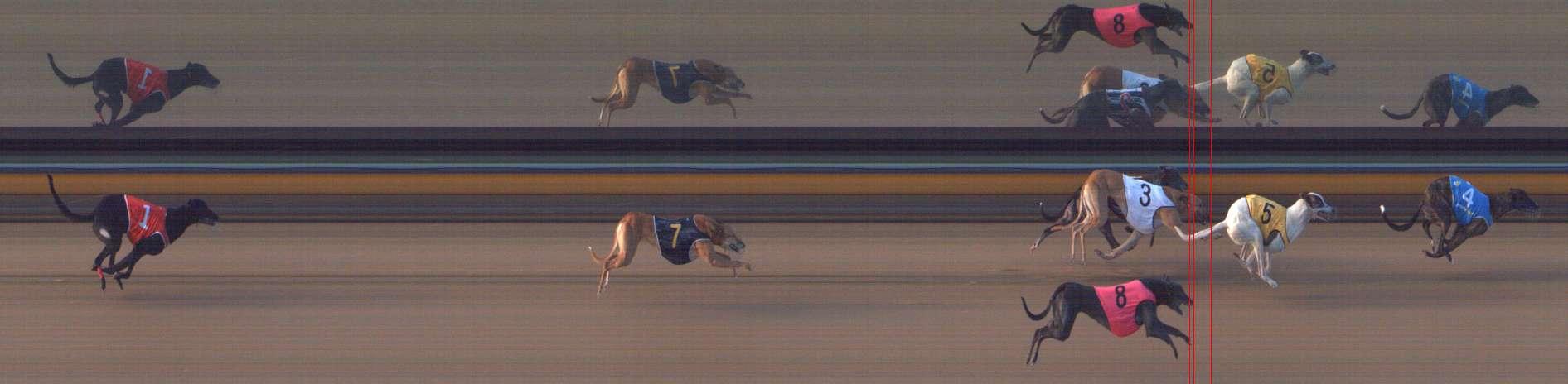 Photo finish for Bendigo Race 5