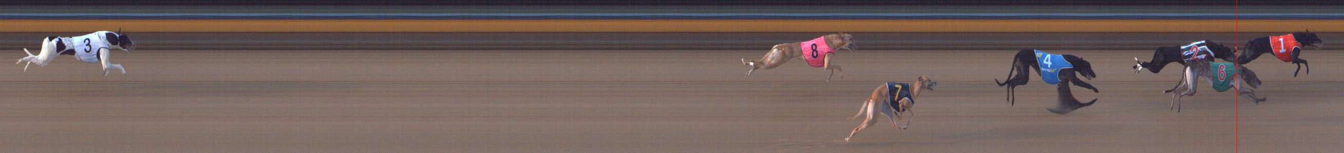 Photo finish for Bendigo Race 6