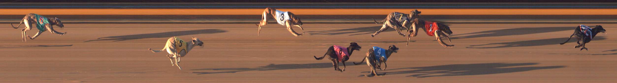Photo finish for Bendigo Race 7