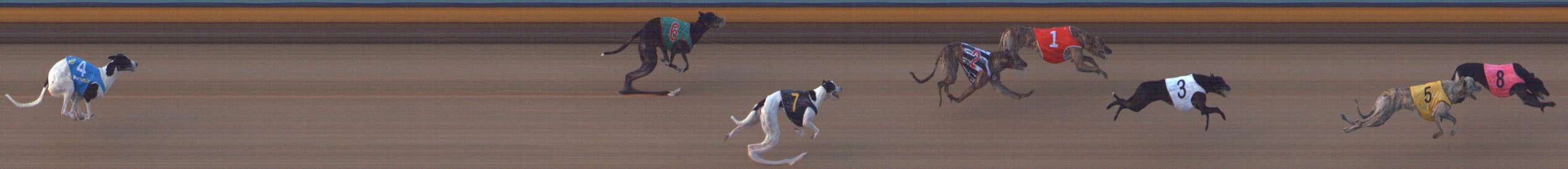 Photo finish for Bendigo Race 8