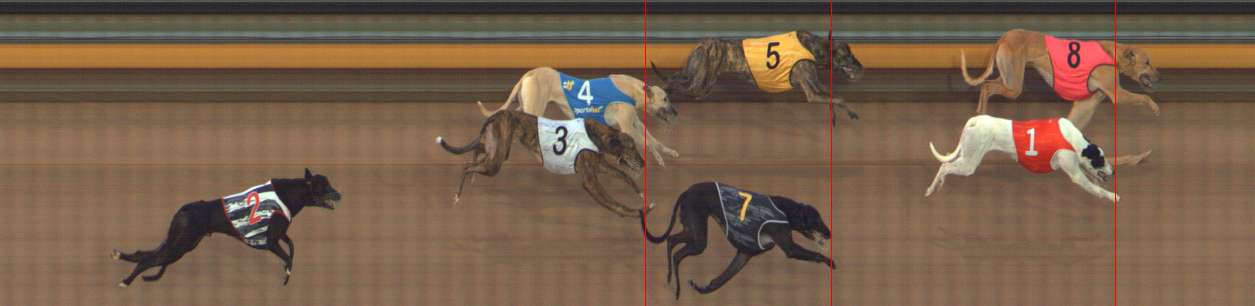Photo finish for Bendigo Race 9