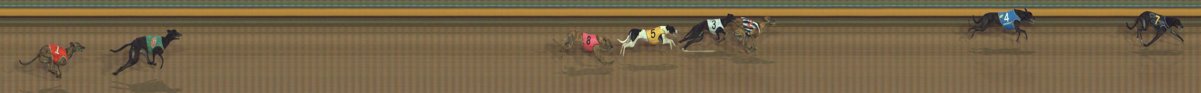 Photo finish for Bendigo Race 10