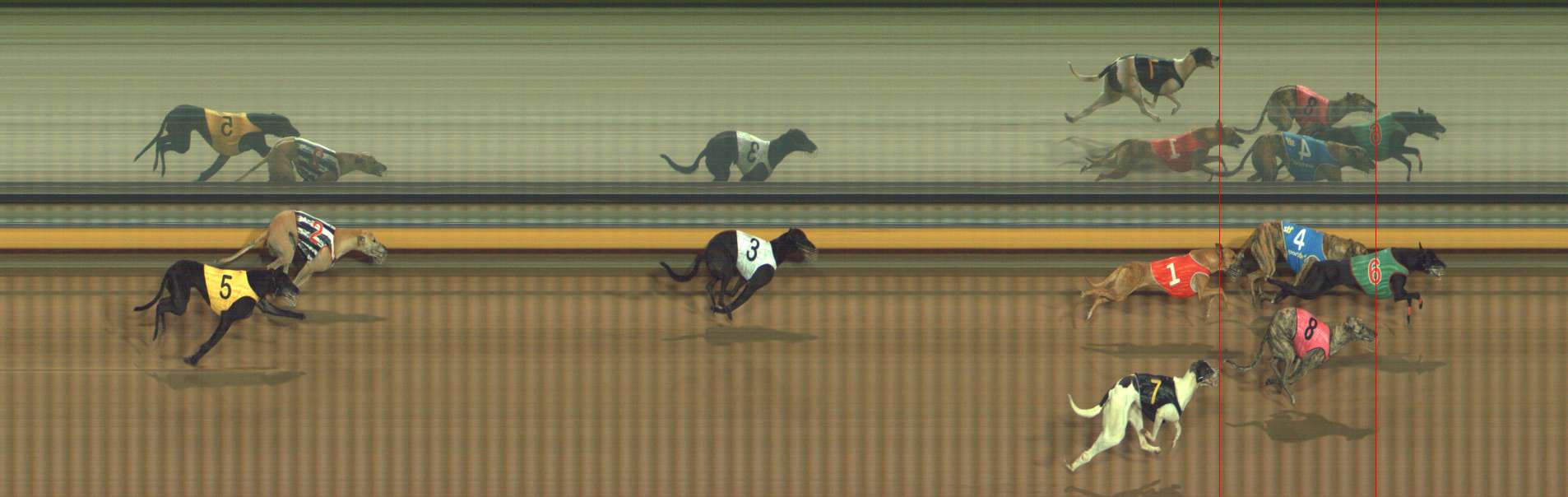 Photo finish for Bendigo Race 12