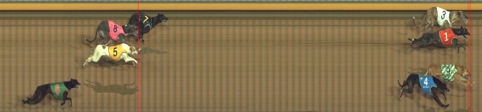 Photo finish for Bendigo Race 13