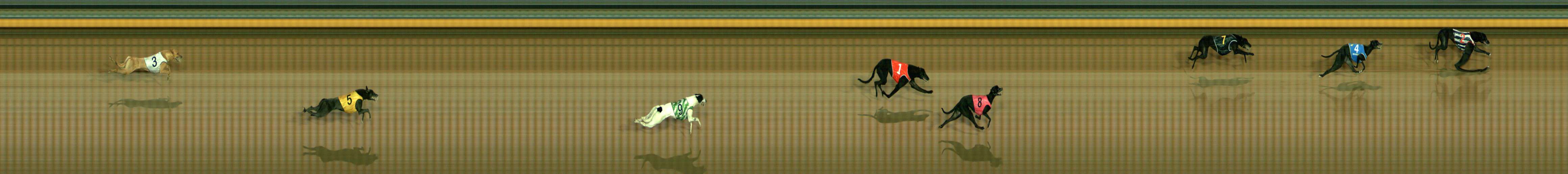 Photo finish for Bendigo Race 1